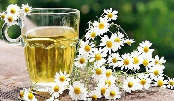 Chamomile tea for prostatitis